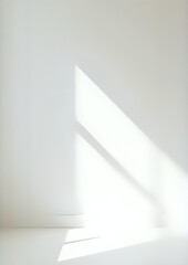 Minimal Sunlight Window Shadow with Indoor Plants