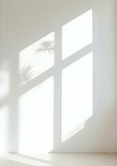 Minimal Sunlight Window Shadow with Indoor Plants