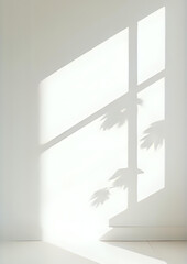 Minimal Sunlight Window Shadow with Indoor Plants