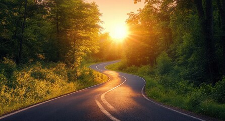 Winding road through lush green forest illuminated by warm golden sunlight at sunset conveying peaceful and serene atmosphere