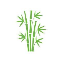 Several green bamboo stalks stand clustered on a white background with simple elegant leaves