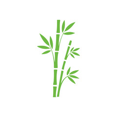 Several vivid green bamboo stalks with flourishing leaves on a white background appear peaceful