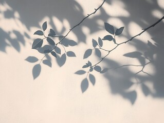 Soft shadows of leafy branches cast gently on a plain textured wall, evoking a calm and serene atmosphere in muted tones