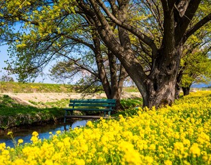 Peaceful park bench in a vibrant yellow flower field under a canopy of trees