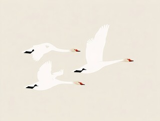 Obraz premium Minimalist cartoon depiction of three swans soaring across a clear background with bold flat tones and clean lines