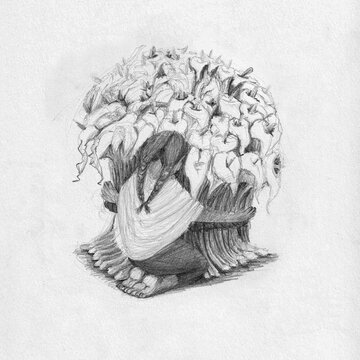 Mujer con flores de alcatracez, ilustraci&oacute;n en l&aacute;piz de grafito. M&eacute;xico