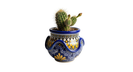 Potted cactus plant in a blue Talavera pot isolated PNG with Transparent Background