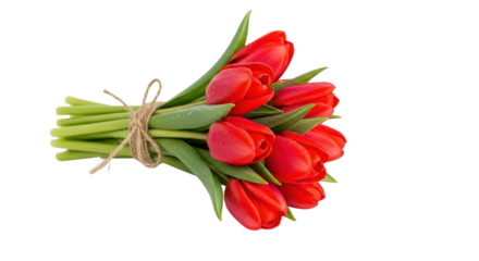 Bouquet of beautiful red tulips tied with twine isolated PNG with Transparent Background