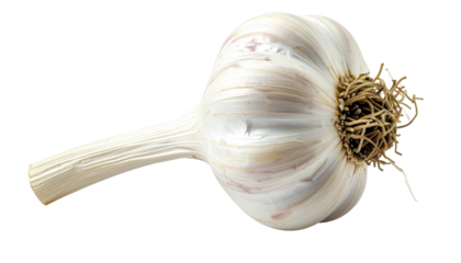 Close-up view of a whole garlic bulb, showcasing its intricate layers and stem against a pure black background.