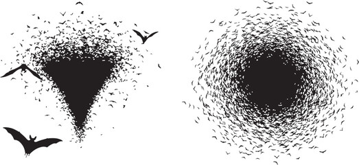 Silhouettes of Bats Swarming in Tornado and Circular Patterns