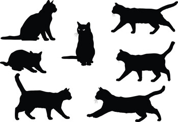 Black cat silhouettes collection, sitting cats, walking cats, crouching cats, stretching cats, vector illustration, isolated feline artwork, domestic pet design decoration