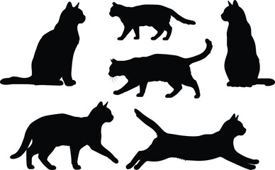 Black cat silhouettes collection, sitting cats, walking cats, stretching cats, playful feline poses, vector illustration, isolated pet design, graphic artwork decoration
