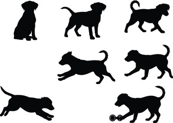 Black dog silhouettes collection, sitting dog, walking puppy, running canine, jumping dog, playing pet, animal vector illustration, isolated graphic design artwork
