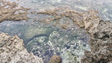 Coastal Tide Pool with Rocks and Clear Water