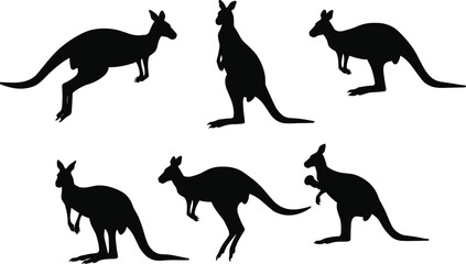 Kangaroo silhouette illustration, wild animal shadow, Australian wildlife vector, kangaroo poses artwork, marsupial design, wildlife art, nature silhouette, hopping kangaroo graphic