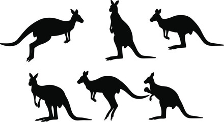 Kangaroo silhouette vector, Australian wildlife illustration, wild animal shadow, marsupial design art, kangaroo standing pose, hopping kangaroo, nature artwork, graphic design
