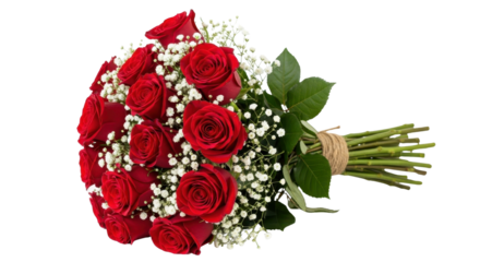 Bouquet of red roses and baby's breath isolated PNG with Transparent Background