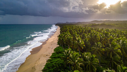 Aerial View of Tropical Beach with Lush Greenery and Dramatic Sky.