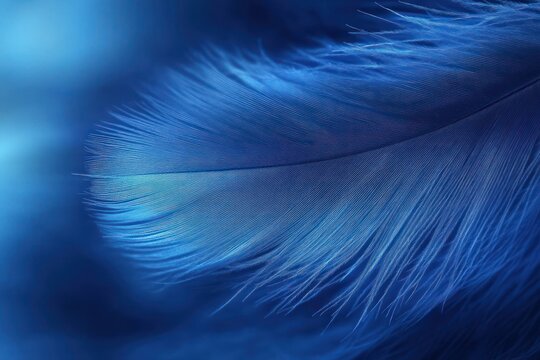 Close-up shot of a delicate blue feather showing fine lines and soft barbs with a smooth gradient background, evoking calm and tranquility