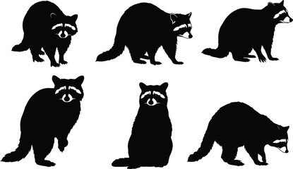 Raccoon silhouette vector collection, wild animal poses, standing raccoon artwork, black wildlife illustration, forest nature design, cartoon clipart, graphic elements