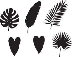 Tropical Foliage Silhouettes: An artistic collection of tropical leaf silhouettes. These graphic elements are ideal for adding a touch of exotic flair to any project. 