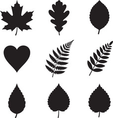 Leaf Silhouettes: A collection of intricate leaf silhouettes in a classic design that highlights the elegant forms and textures of nature's botanical wonders.