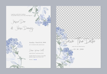 Wedding invitation and save the date template set with a minimalist design and soft, watercolor illustrations of Cape leadwort flowers and grayish-green leaves on a light gray background