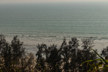 Dry tree branches and green forest landscape facing Cox&rsquo;s Bazar Bangladesh coastline with blue water background.