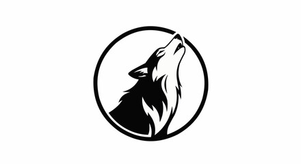 silhouette of a surfer