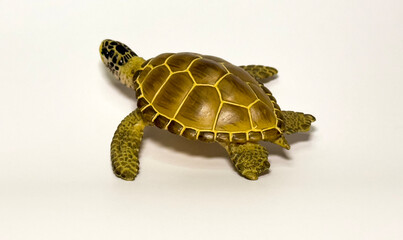 Obraz premium Turtle figurine on white background