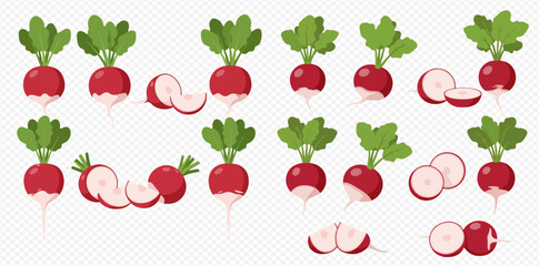 Set of fresh red radishes, whole with green leaves and sliced, showcasing their vibrant appearance.