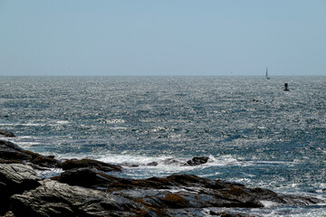 East Coast Landscape