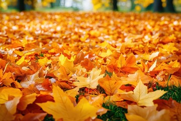 Close-up of a ground covered with vibrant autumn maple leaves in shades of orange and yellow with some patches of green grass visible beneath under soft daylight