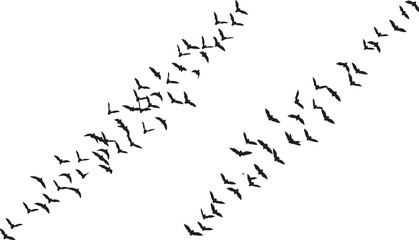Silhouette of Bats Flying Across a White Background
