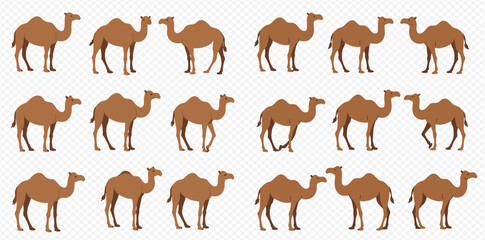 An illustration featuring multiple brown dromedary camels in various standing and walking poses, arranged in a repeating pattern.