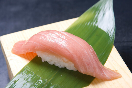 Medium-fatty tuna　sushi｜Chutoro sushi