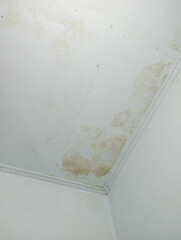 Close-up of brown water stains on a white ceiling in a house corner, indicating a roof leak or significant water damage problem.