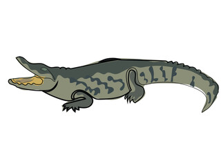 Crocodile in continuous line drawing style