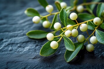 Close-up view of green leaves and clusters of small white berries resting on a textured dark surface creating a calm and natural atmosphere