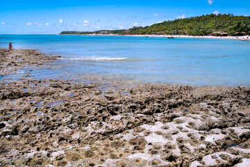 Praia do Espelho, Mirror Beach, famous for its geological formations of sandstone and arkose, natural pools, clear and calm waters, and leaning coconut trees. Cara&iacute;va, Bahia, Brazil, 2022