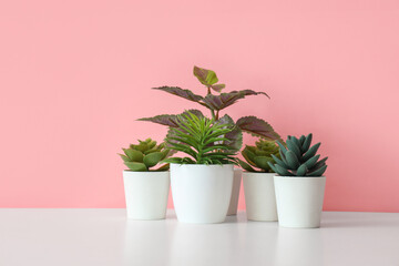 Artificial plants on table against pink background