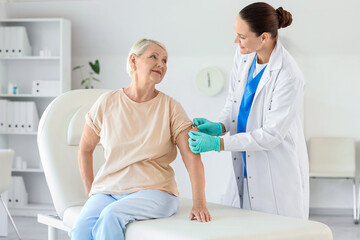 Fototapeta premium Senior woman receiving medical patch from doctor after vaccination in clinic