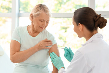 Fototapeta premium Female doctor vaccinating senior woman in clinic