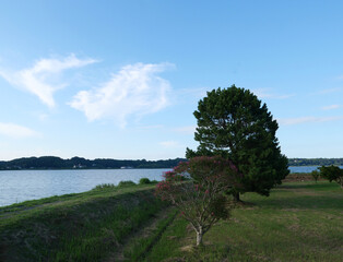 ラムサールの湖沼、果てしなく広がる大空。暑かった一日が終わる。時折、優しい風が皮膚を撫でて通り過ぎていく。安寧なひと時。心も静かに深い世界に入っていく。鏡のような水面に突然波紋が広がる。ボラが飛び跳ねた。あっちでもこっちでも、ぴょんぴょん飛び跳ねた。そしてまた静かな世界が戻ってくる。今日一日の出来事を振り返り、何事もなかったことに感謝した。