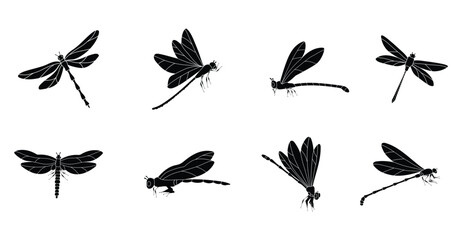 dragonfly set collection pack bundle black shape icon silhouette vector flat illustration design on white background