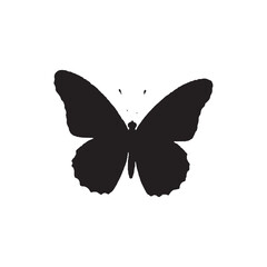 A butterfly png , butterfly vactor desing , Monarch butterfly silhouettes collection, vector illustration isolated on white background
