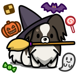 ハロウィン仮装のホワイトアンドブラックのパピヨン