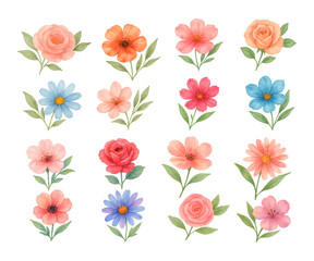 Fototapeta premium set of flowers watercolor vector clipart