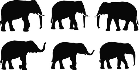 Elephant silhouettes in walking and standing positions, wildlife animal design, black vector illustration, jungle nature artwork, african and asian elephant collection