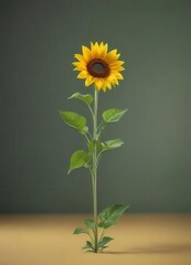 A single sunflower, vibrant yellow petals, tall green stem, isolated against a blurred background, full bloom, floral, vibrant